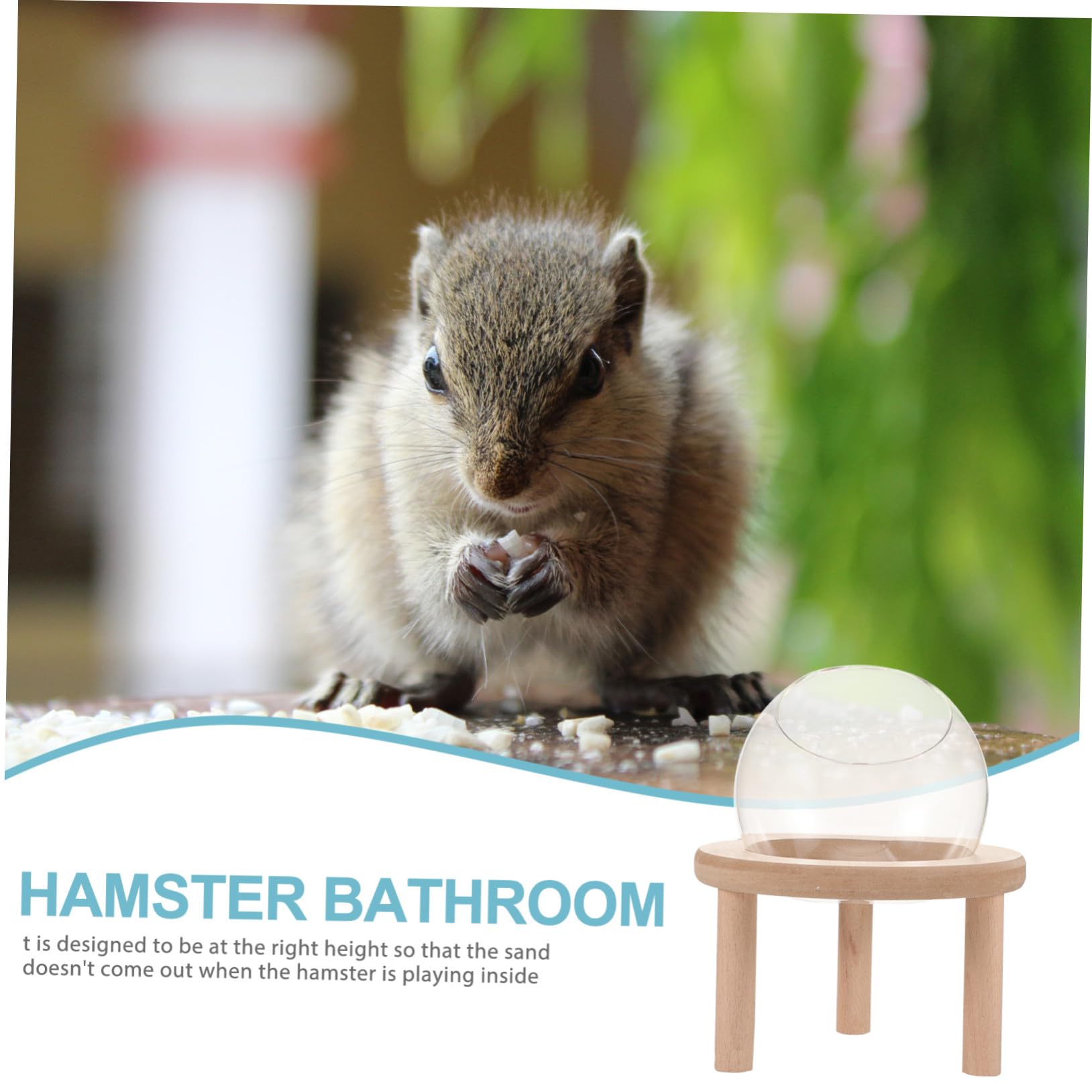 TOYANDONA Transparente Kleine Hamsterbadewanne aus Glas und Holz Sicheres Sandbad für Hamster und Meerschweinchen im Heimgebrauch