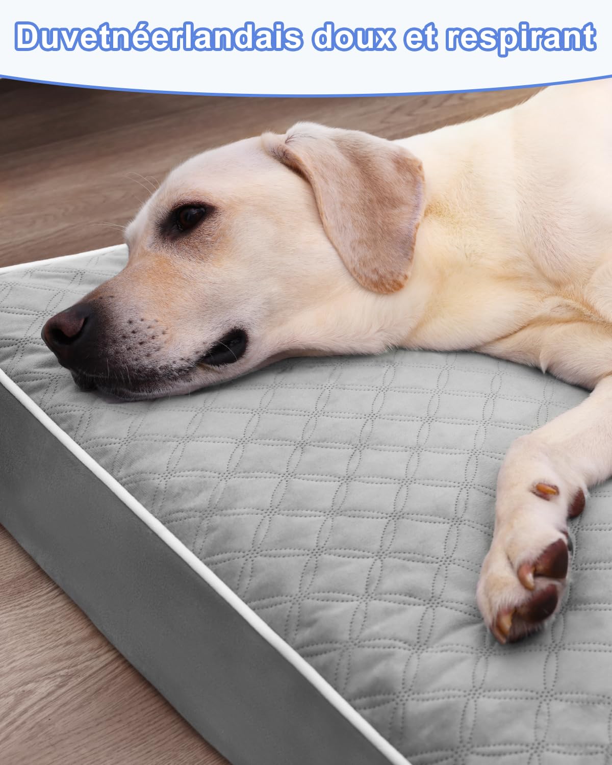 KSIIA Panier Chien Orthopédique Grande Taille 119x73x9cm, Gris