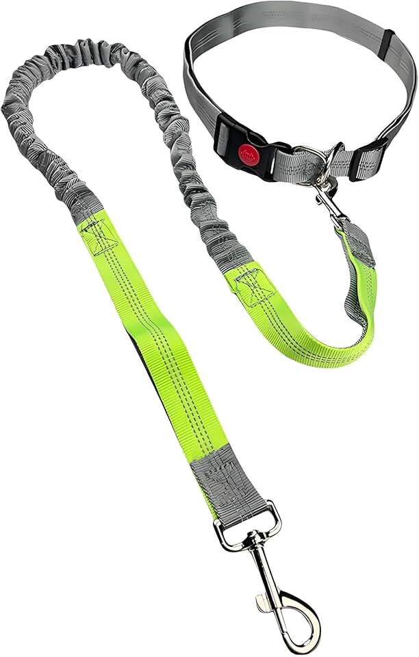 Coleira de cachorro mãos livres para corrida, para passear com cães, coleira elástica de alça dupla com costura reflexiva e cinto ajustável para passear, cinza/verde