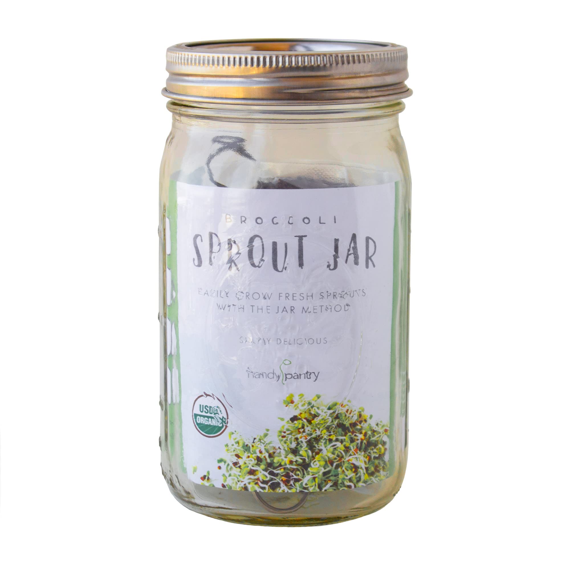 Buy Complete Broccoli Sprout Growing Kit Includes Quart Mason Jar