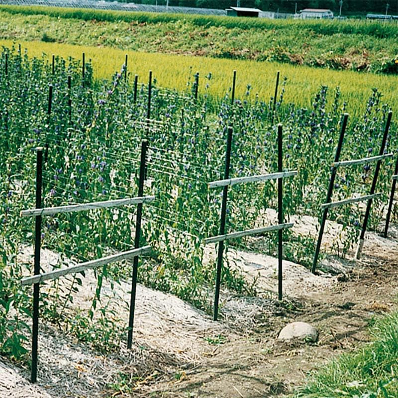 竹支柱 約2.1mイボ竹支柱200本 イボ竹支柱200cm（園芸用品） | 花