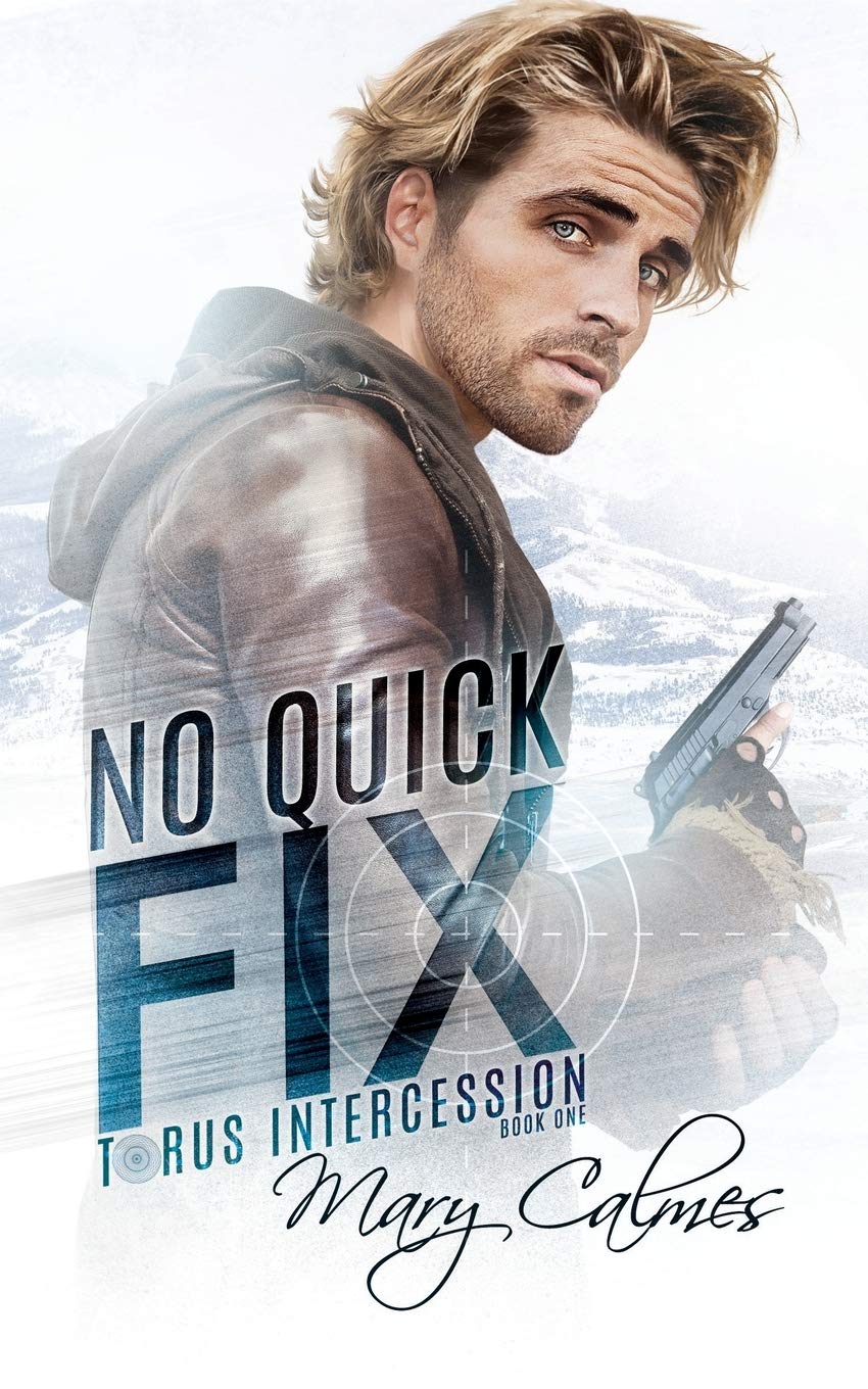 No Quick Fix: Torus Intercession Book One: 1