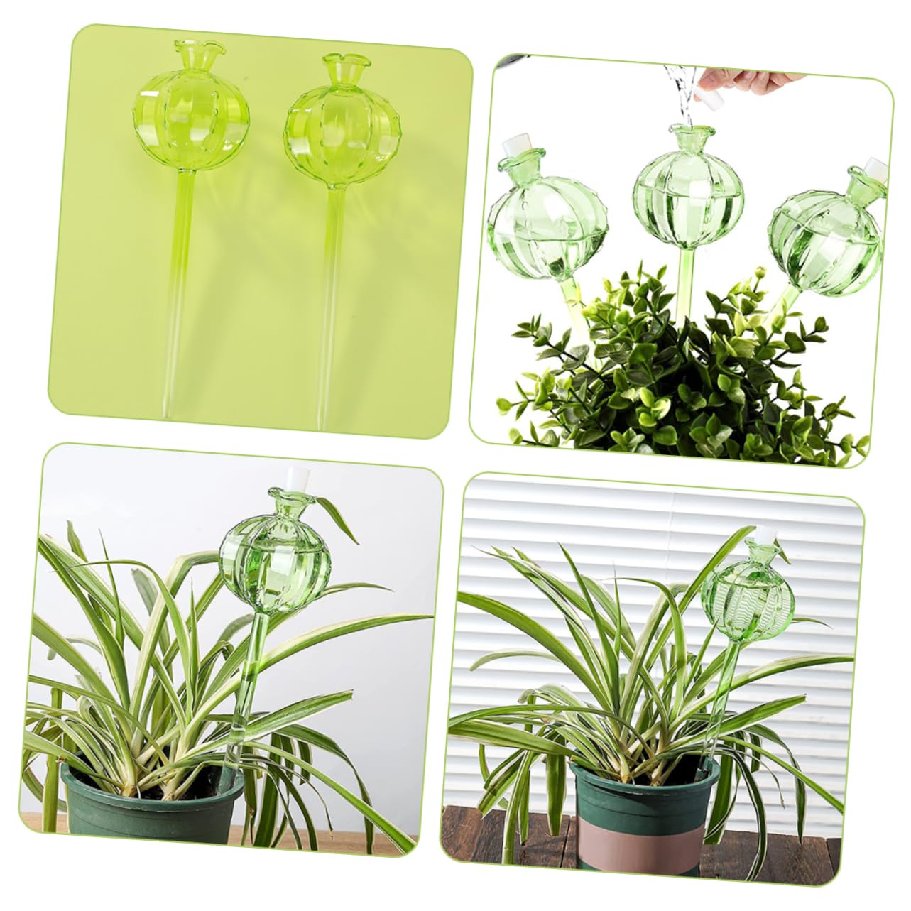ibasenice Globe D’arrosage en Verre Cactus Vert 4 Pièces pour Plantes