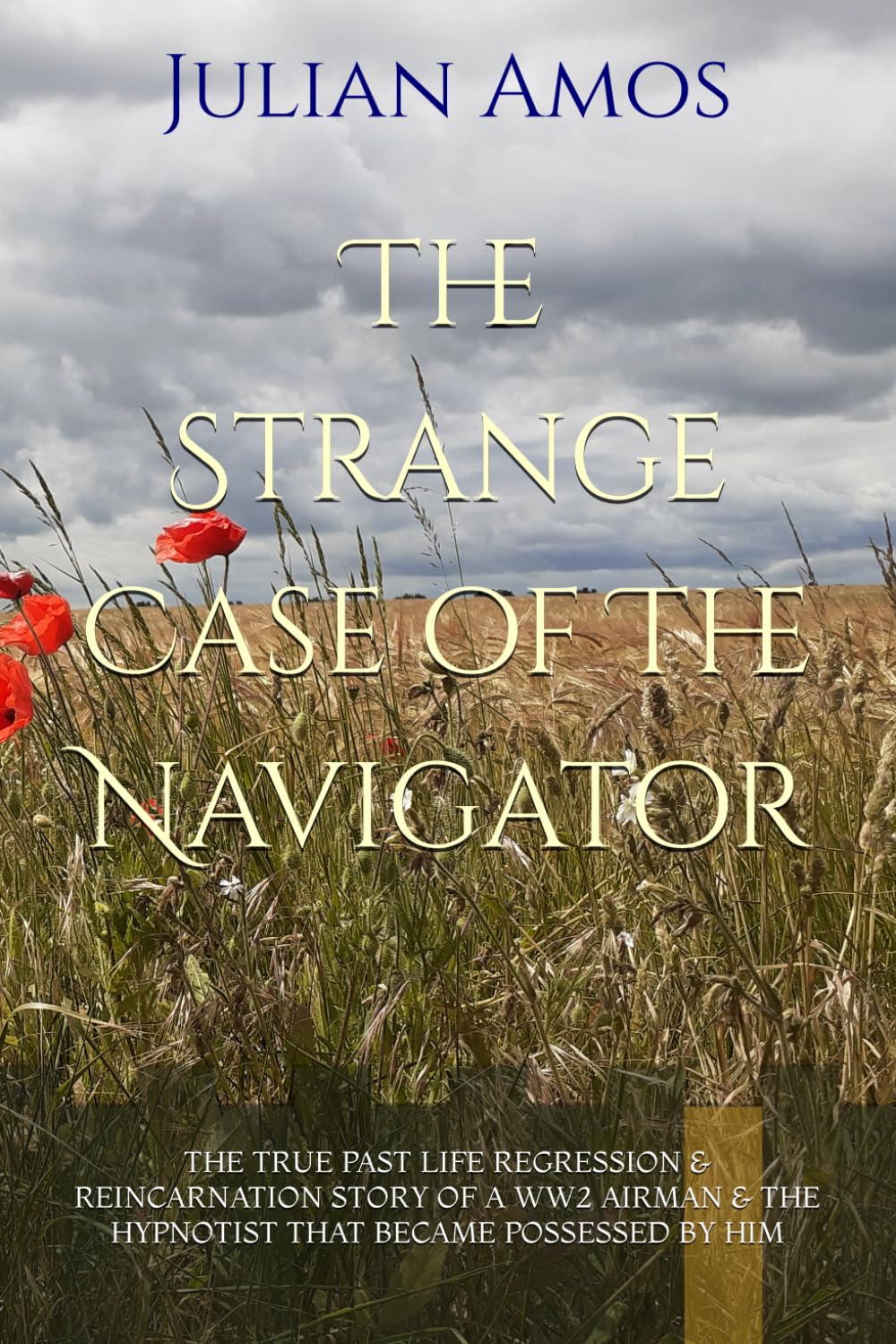 The Strange Case of The Navigator: THE TRUE PAST LIFE REGRESSION & REINCARNATION STORY OF A WW2 AIRMAN & THE HYPNOTIST THAT BECAME POSSESSED BY HIM