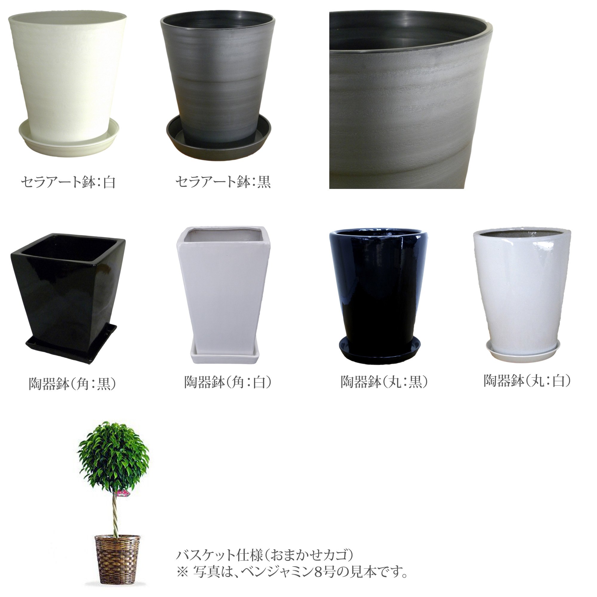Amazon | エバーフレッシュ 7号 陶器鉢 (角: 白) | デライト
