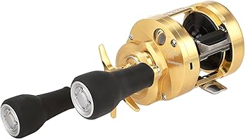 Amazon | シマノ(SHIMANO) Inc. カルカッタコンクエスト MD301XG