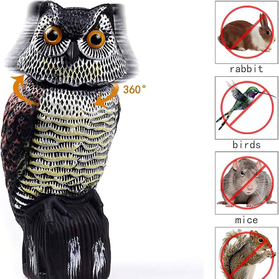 梟ページです！！ nanamica / FFFES (For, Feel, Find, Endangered Species) / No.001