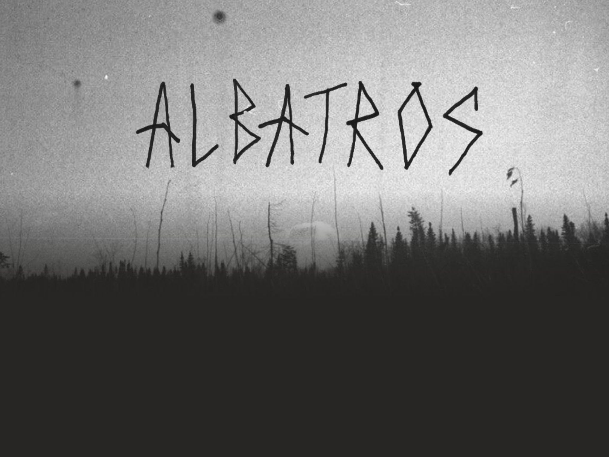 Albatros