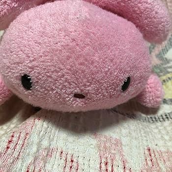 フリッカまつもと ましゅまろぴろー　コアラ　ぬいぐるみ フリッカまつもと ましゅまろぴろー コアラ ぬいぐるみ