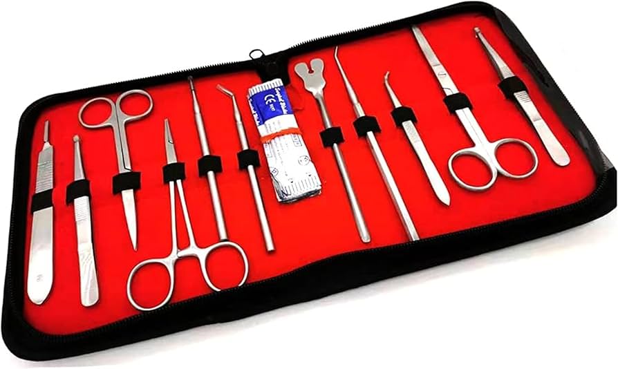 Amazon | 22個の完全な解剖セット、実験器具と用具、生物学研究所の