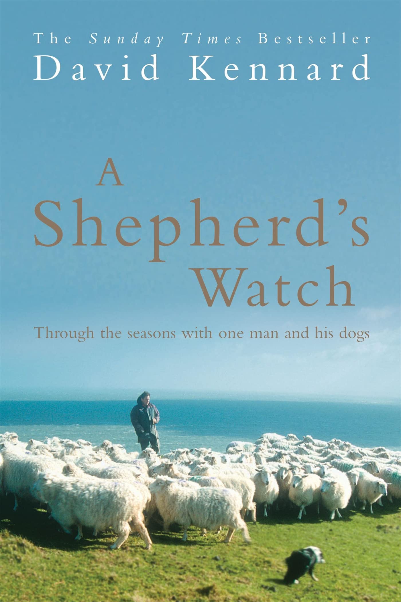 A Shepherd's Watch by David Kennard - 9780755312351
