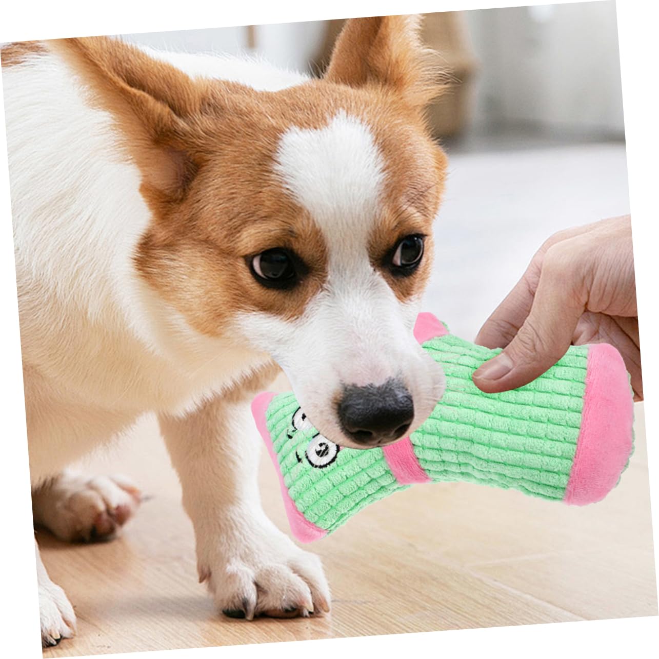 SUPVOX 10piezas Juguete para Perros De Peluche Chirriante Juguete De Masticar para Cachorros Forma De Calcetín para Interactivo y Teething