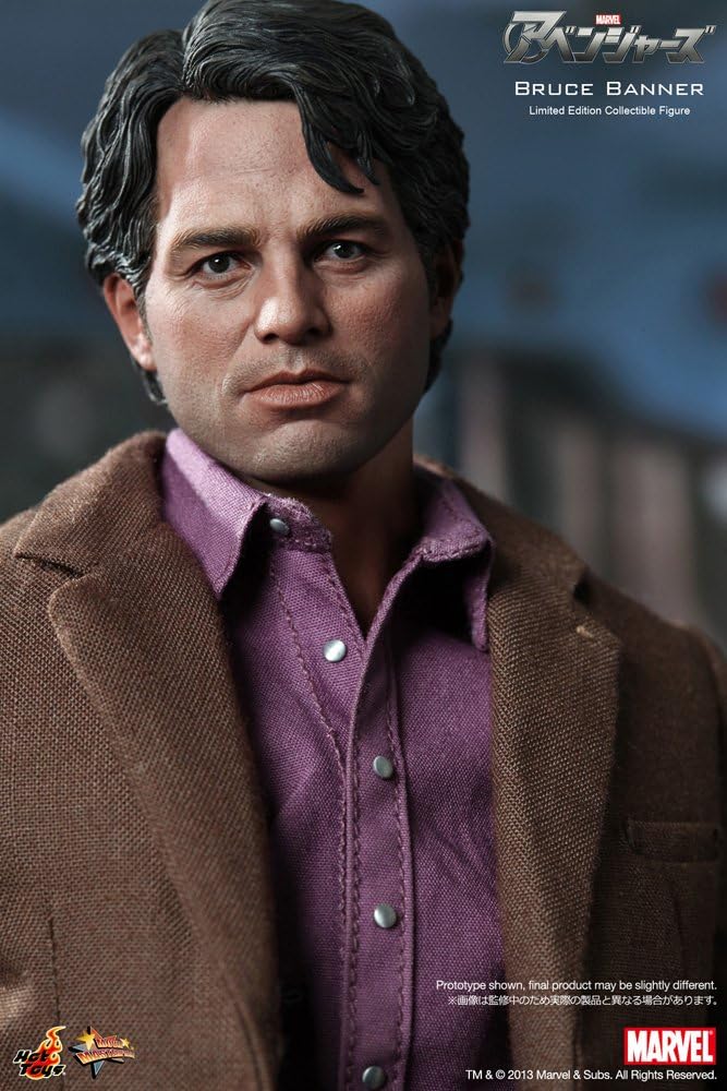 Hot Toys Avengers Movie 1/6 Scale Collectible Figure Bruce Banner