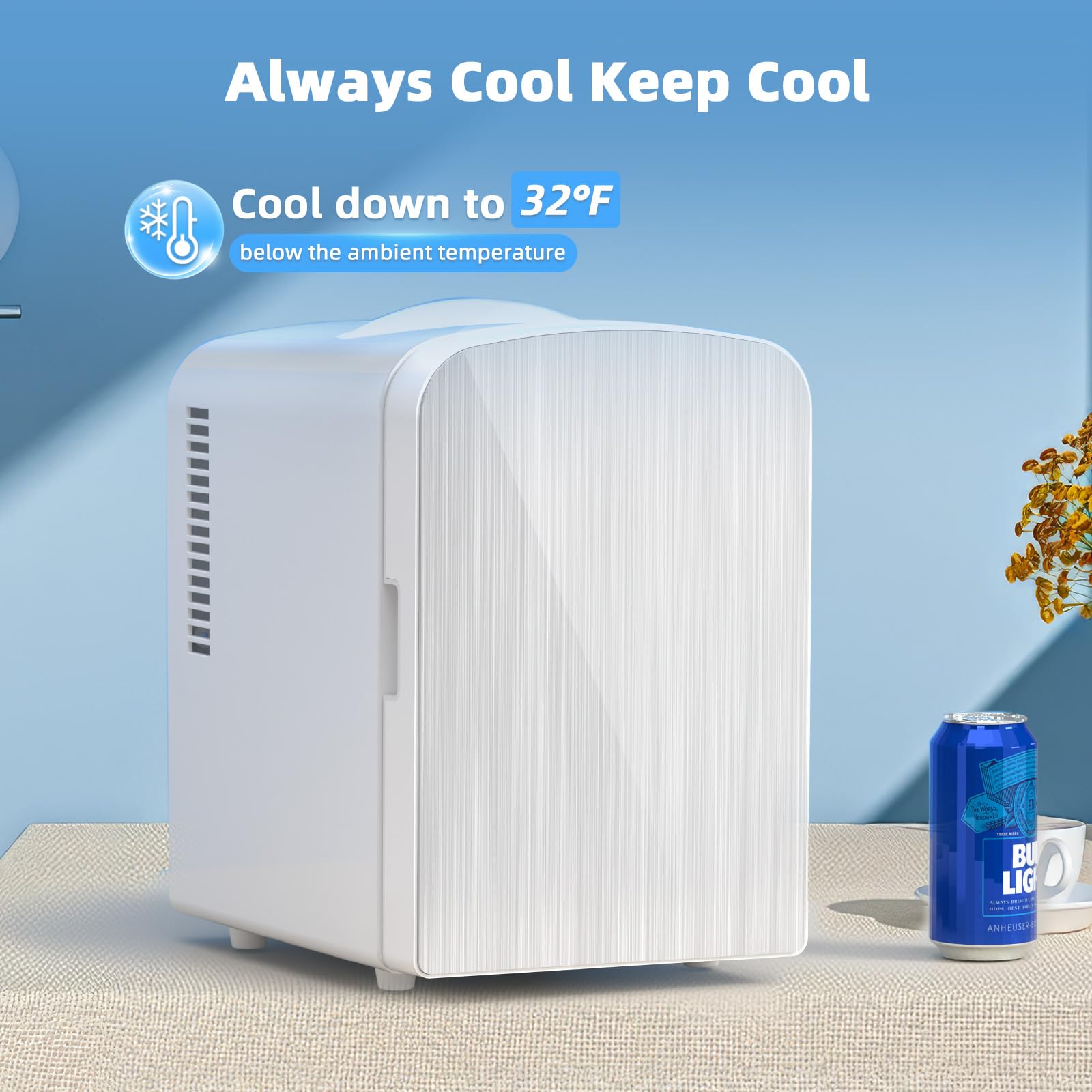 Antarctic Star 4L Capacity/6 Cans Compact Refrigerator, Portable Mini Fridge,for Bedroom, Car/Office/Dorm, Small Cooler for Cosmetics,Brushed Stainless Steel Door