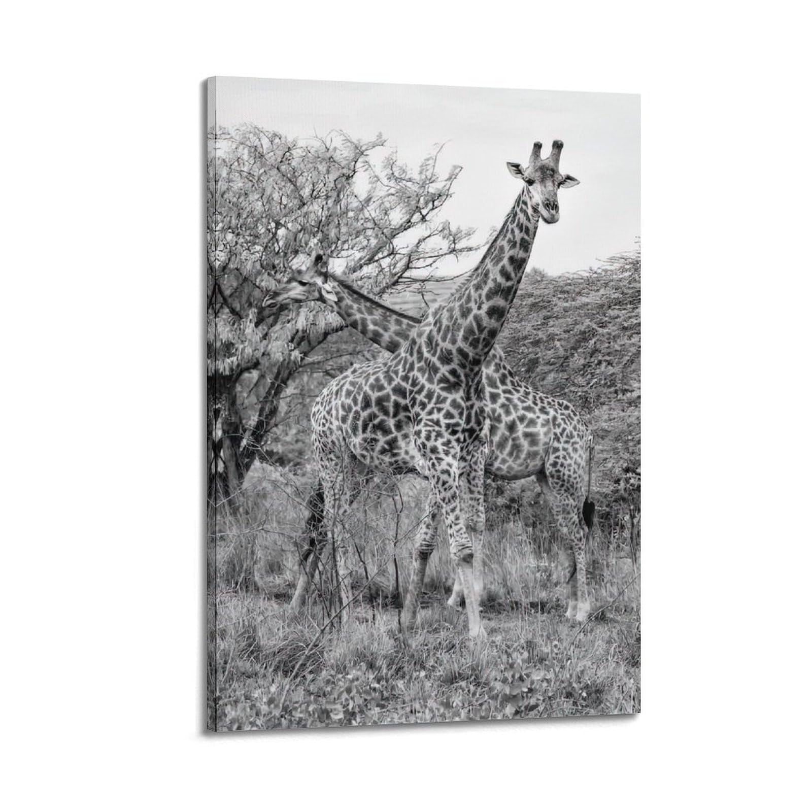 MJZLQN Animal Poster Giraffe Mother And Young Poster Decorative Painting Canvas Wall Posters And Art Picture Print Modern Family Bedroom Decor Posters 20x30inch(50x75cm)