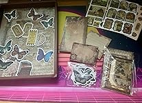 Review Image by Lily Lily