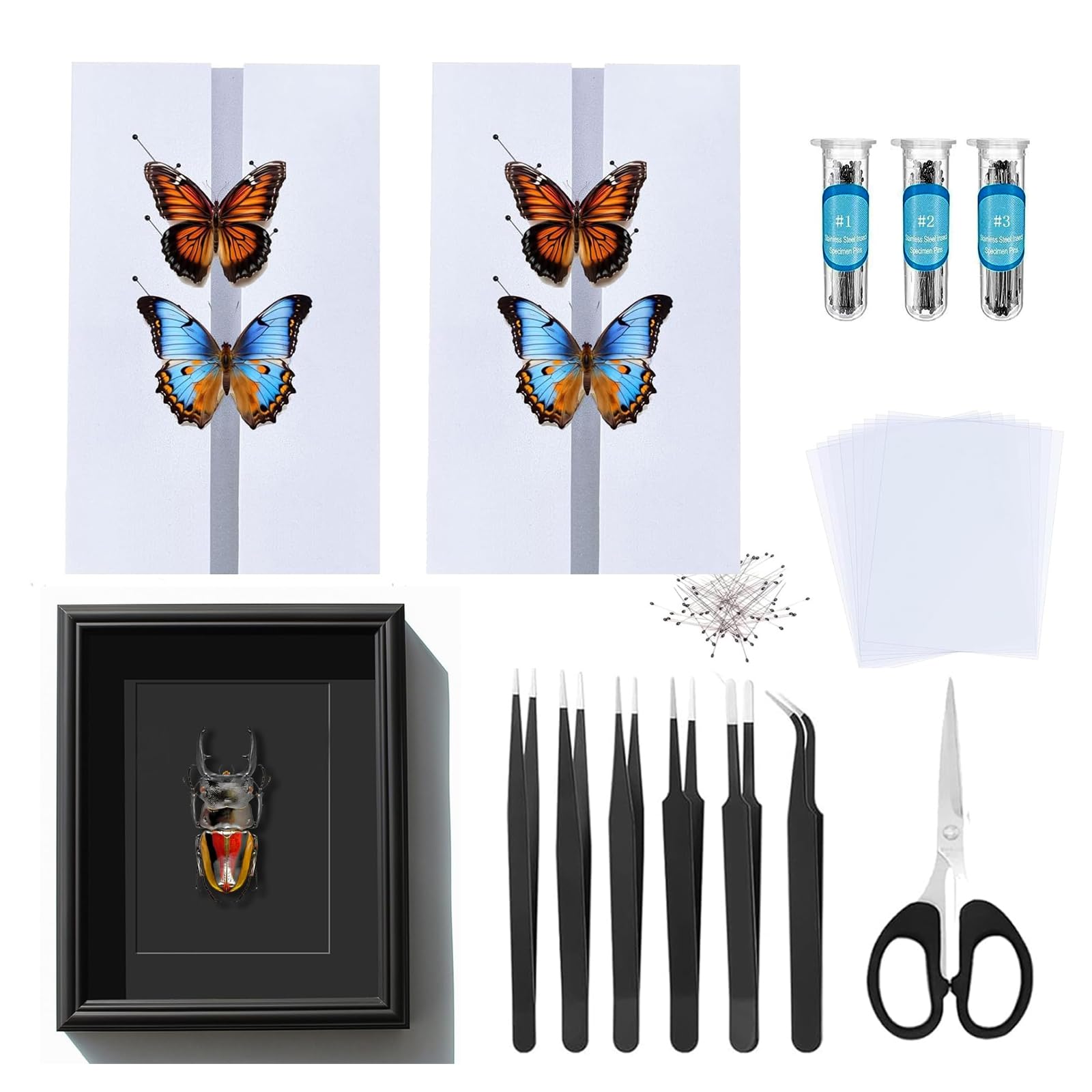 Kit de spécimen papillon comprenant des aiguilles, une plaque de montage, 3 types d'aiguilles à insectes, un cadre photo de 17,8 cm, une pince à épiler, une conservation et une présentation de