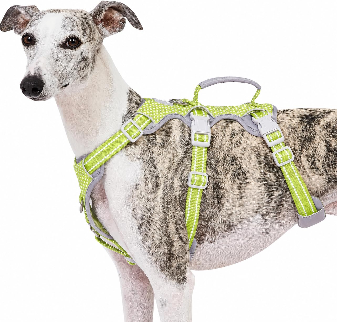 Huntboo Escape Proof Dog Harness,No Pull Reflective Harness with Lift Handle,Adjustable Pet Vest with Front and Back Leash Clips for Small Medium Large Dogs Walking Hiking Training (Bright Green,XL) — image 1