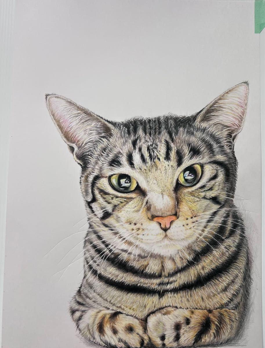鉛筆画　オーダー画面 鉛筆画 オーダー画面
