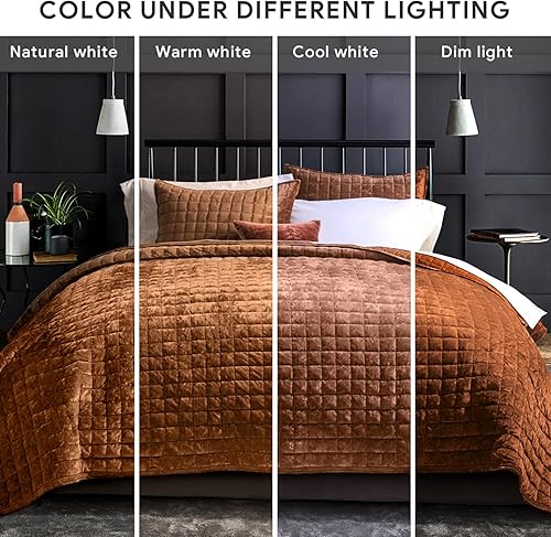 Miniatura 183 de RECYCO - Juego de edredón de terciopelo ligero, ropa de cama con edredón acolchado de gran tamaño y 2 fundas de almohada a juego, para usar todo