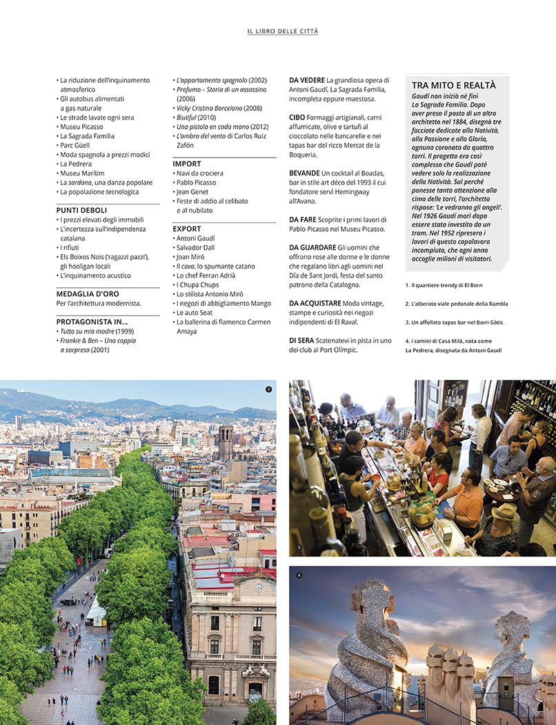 Il libro delle città. Un viaggio attraverso le più belle città del mondo. Ediz. a colori