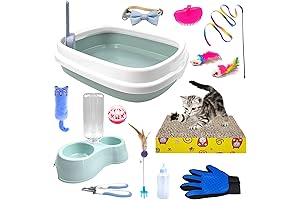 Ultimate Kitten Starter Kit: Purrfect Essentials for Your Feline Friend