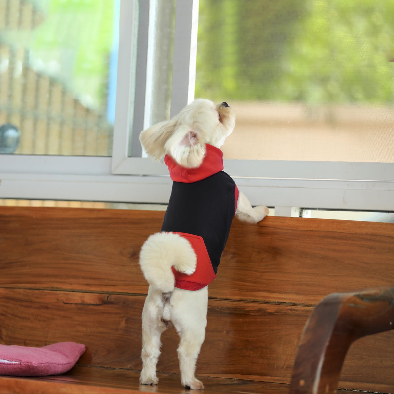 Pull Chien - Sweats à Capuche pour Chiens, Sweatshirt Chien sans Manches, Capuche Chien en Coton pour Chat Yorkshire Jack Russell, Rouge M
