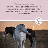 Ver la foto 2