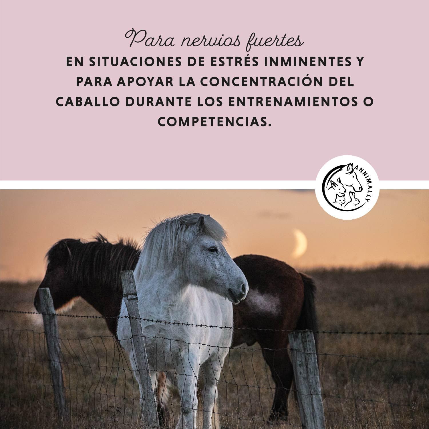 Annimally Fuerza Nerviosa - Polvo Relax para Caballos 850g para la calma en caballos - Hierbas para los nervios con magnesio, triptófano, valeriana, pasiflora y aceite de cáñamo contra la ansiedad, el