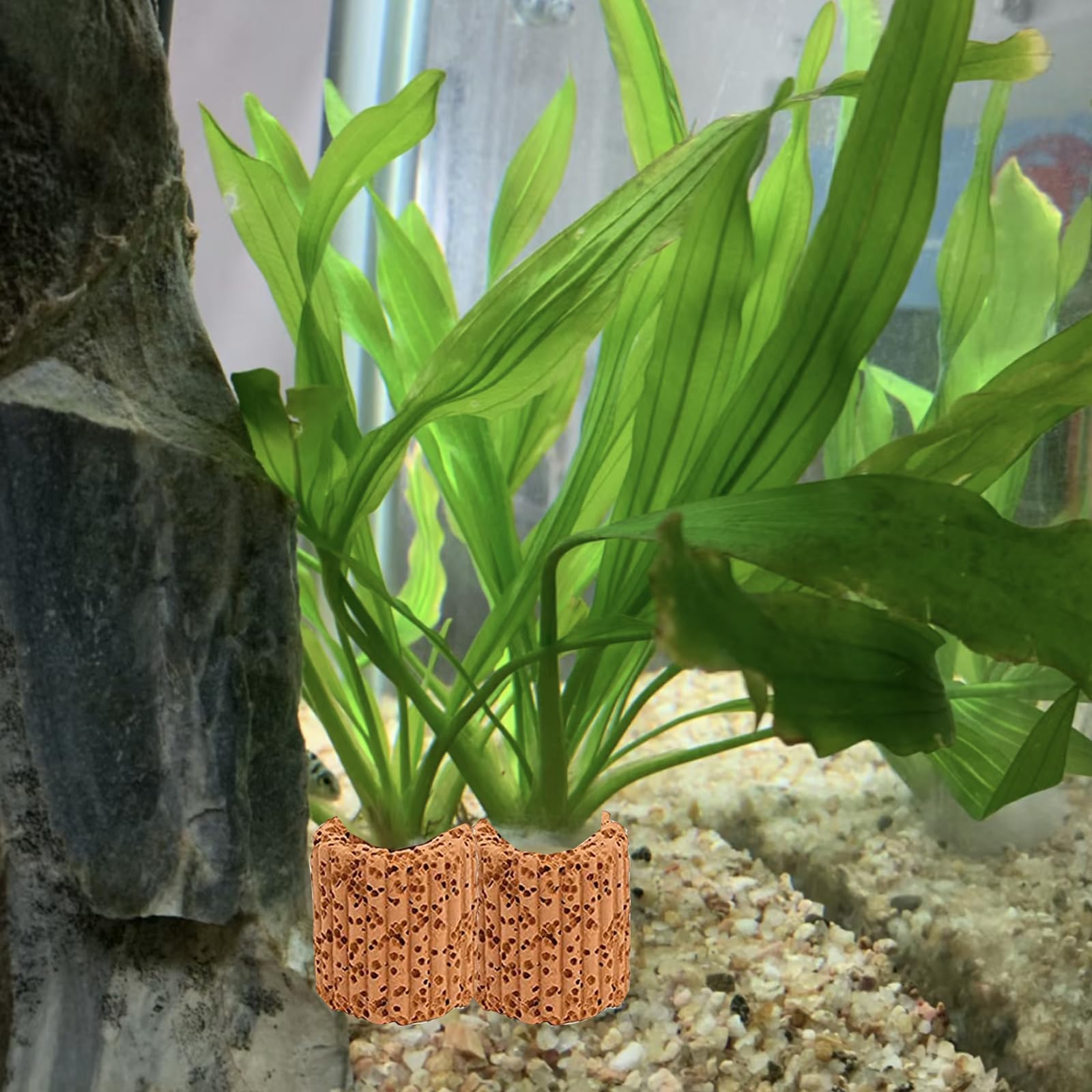 Eterspr 50 Stück Wasserpflanzen Keramik Ring, Aquarium Ringe aus Keramik, zum Halten Aller Arten von Wasserpflanzen und Pflanzen im Aquarium