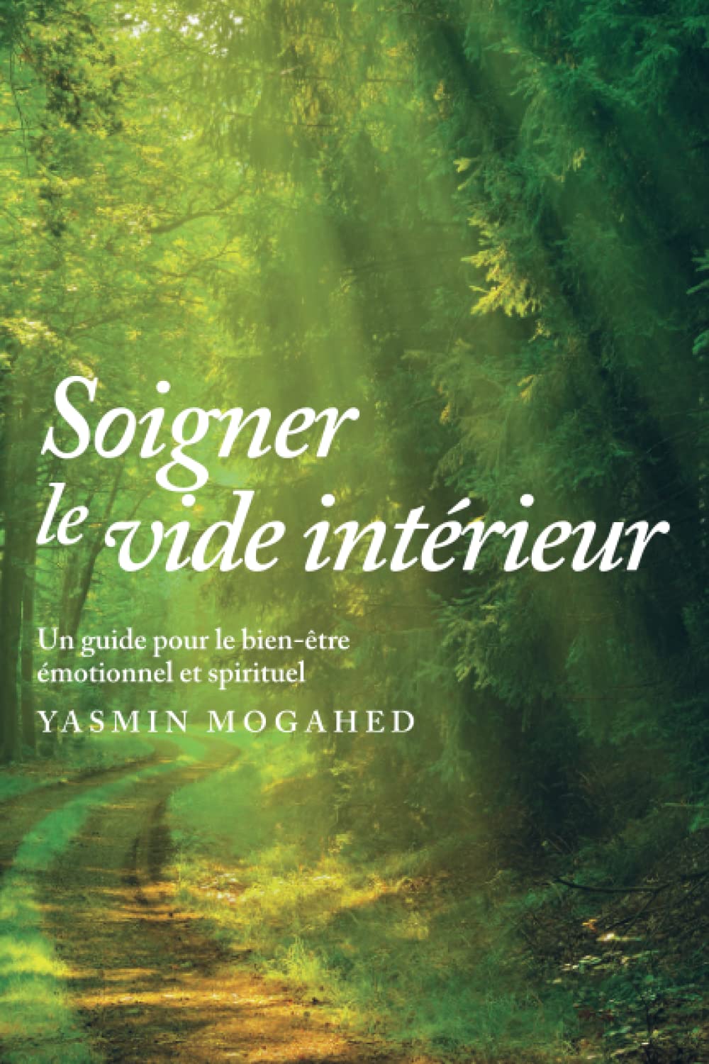 Soigner le vide intérieur: Guide pour un bien-être spirituel et émotionnel (French Edition)