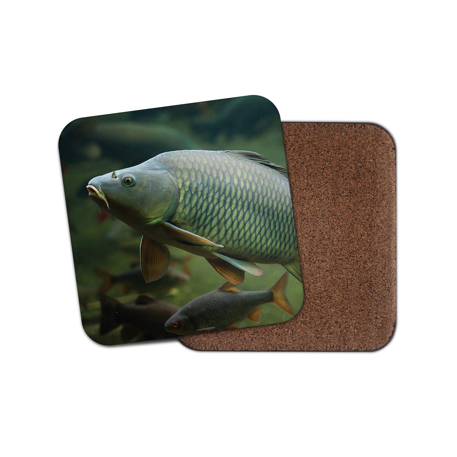 1 x Wild Common Carp Coaster - Fishing Angling Fresh Fun Fish Sea Animal #15753