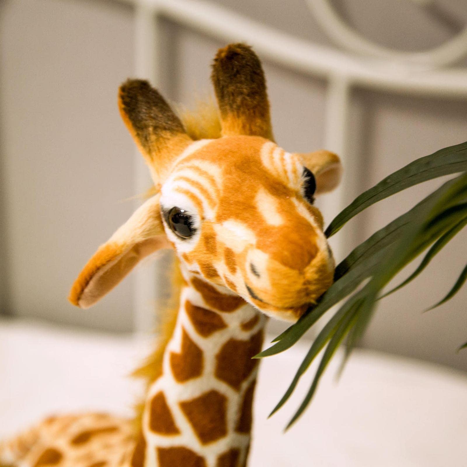 Peluche Délicat Girafe Oreiller Jouet Coussin Câlin Douceur Tissu Rembourré Adapté pour Cadeau Enfant Décoration Chambre Bureau Salon Voiture, 60CM