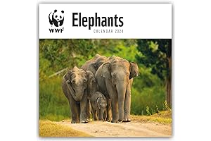 WWF Elephants 2024: Original Carousel Calendar