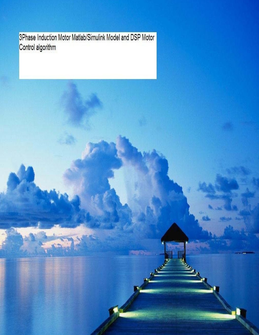 3Phase Induction Motor Matlab Simulink Model and DSP Motor Control algorithm