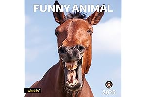 2024 Calendar Wall Funny: Gag Gift 2025 Wall Calendar