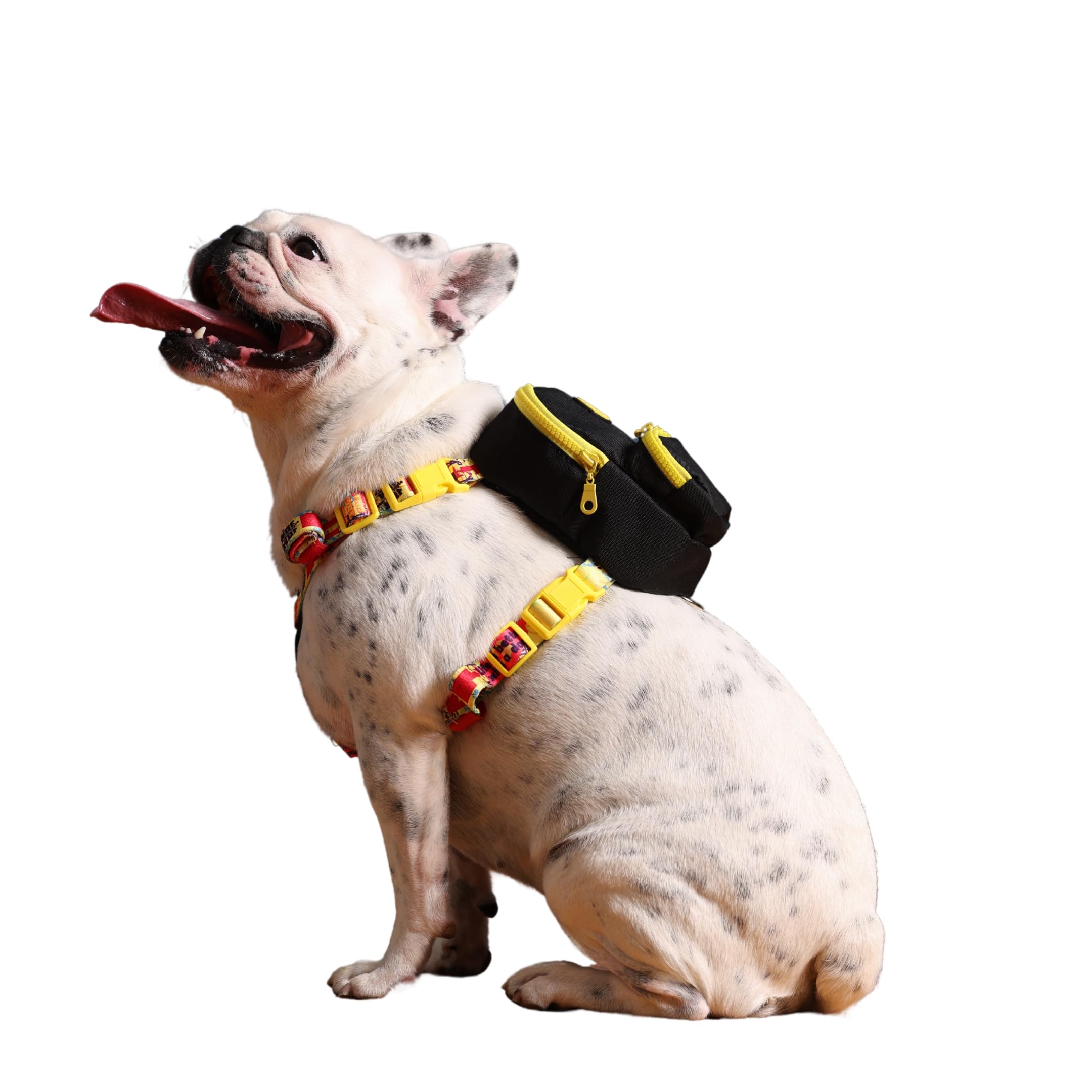 Design, Gimme Five Siyah,Çantalı Göğüs Tasması, Köpek Sırt Çantası – 2’si 1 Arada Göğüs Tasması Fonksiyonlu, Ayarlanabilir, Küçük & Büyük Irklar için Small,