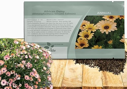 Miniatura 1 de Outsidepride Dimorphotheca Sinuata - Semillas de plantas de flores de salmón con margaritas africanas - 2000 semillas