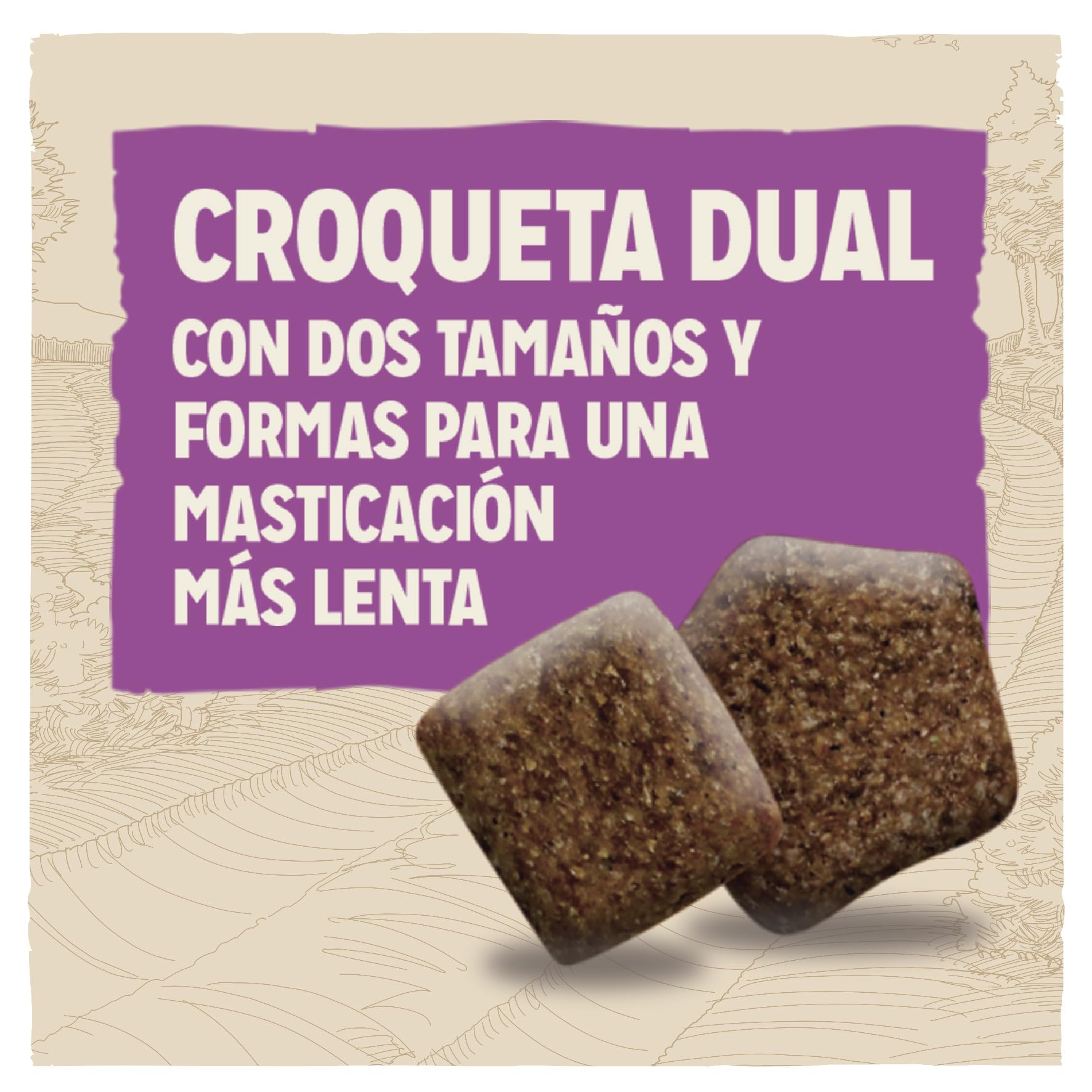 PURINA DOG CHOW Mature Adult Cane Crocchette con Pollo, 14 kg