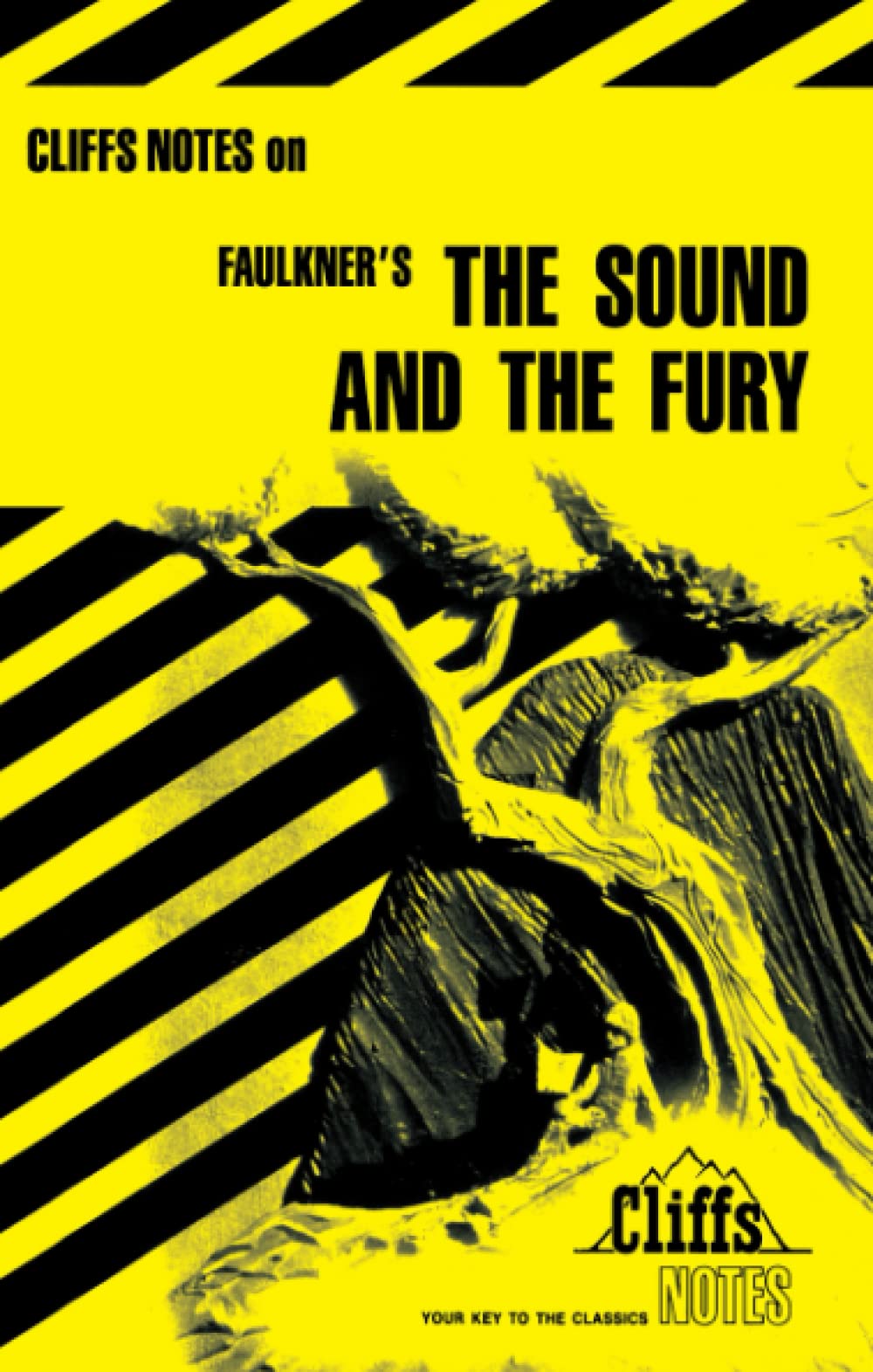 CliffsNotes on Faulkner's The Sound and the Fury
