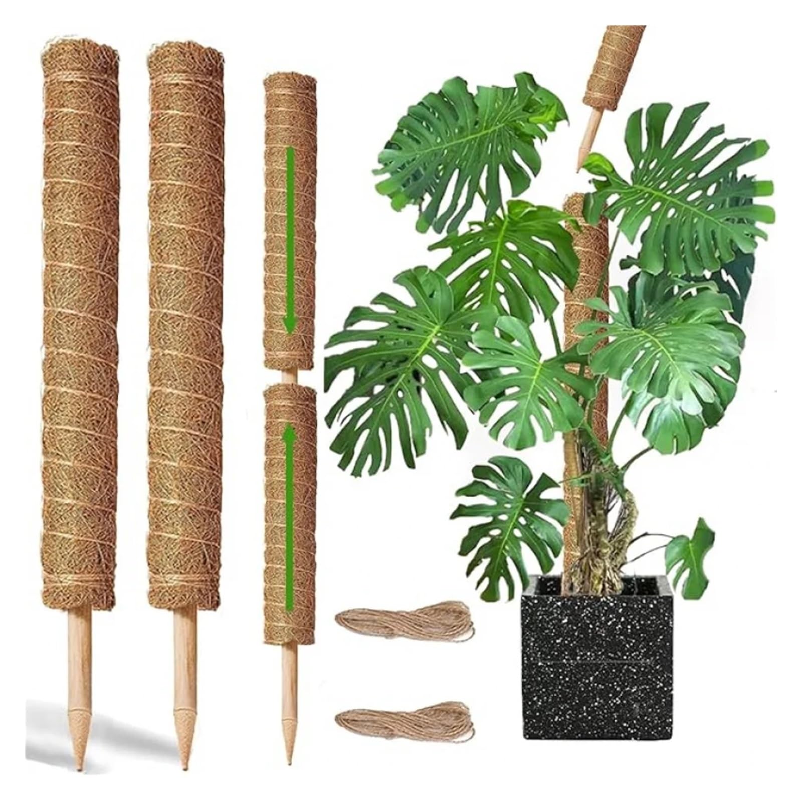 Tuteur Plante Support d'escalade de Lierre de Radis vert2-4, Mousse de Coquille de Noix de Coco emballée, Plante d'intérieur, Support Fixe, Trel empilable(4pcs)