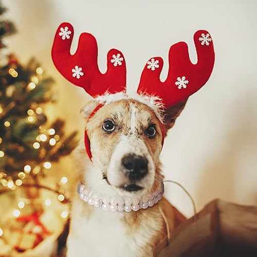 Miniatura 7 de Juego de 4 collares de perlas para perro, collar de perlas para mascotas, correa para el cuello de perlas de gato, diamantes de imitación de