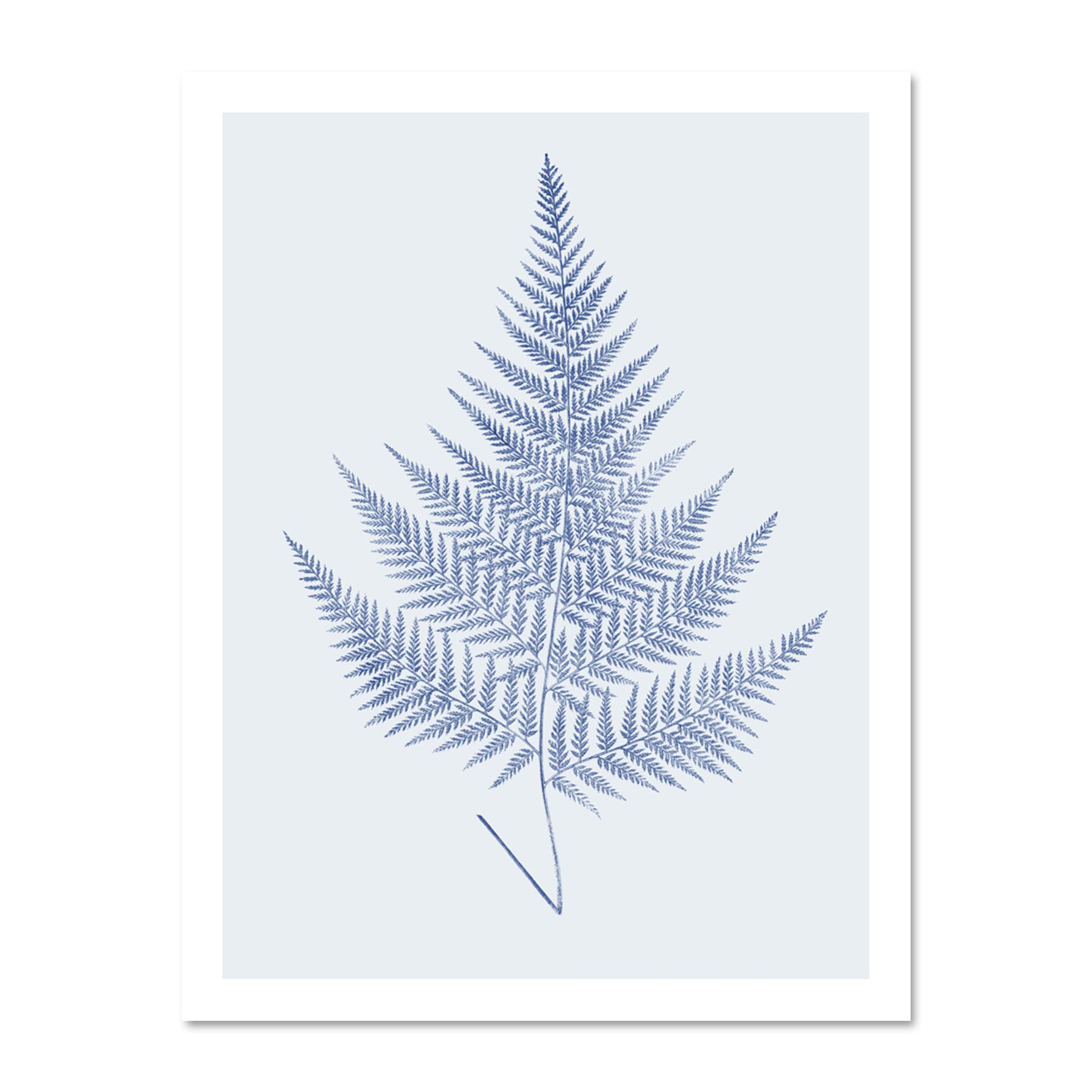 Wee Blue Coo Botanics Cobalt Fern Eppusum Large White Framed Art Print Wall Poster 18x24 inch