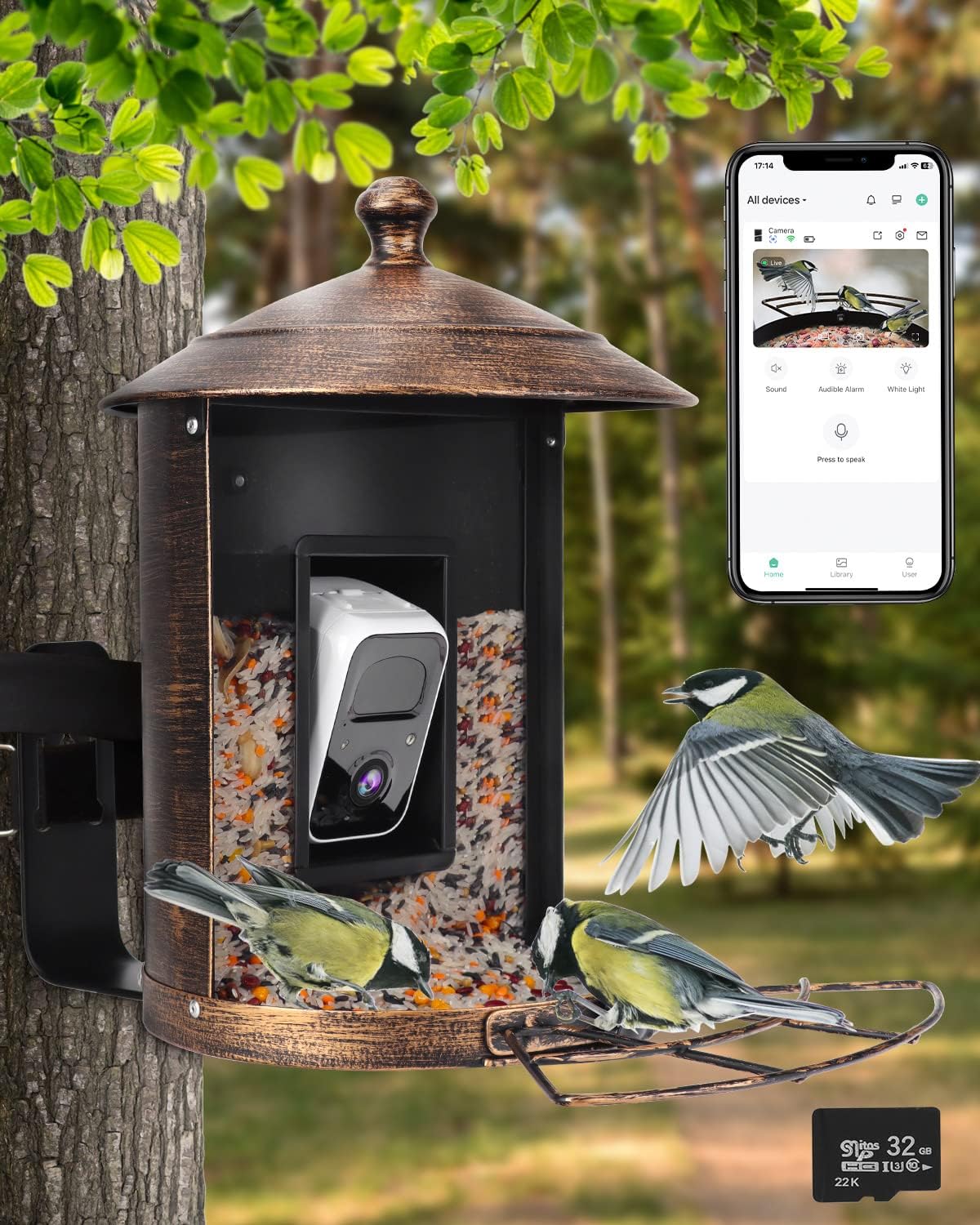 8 Best Bird Feeder Cameras To Fit All Your Needs
