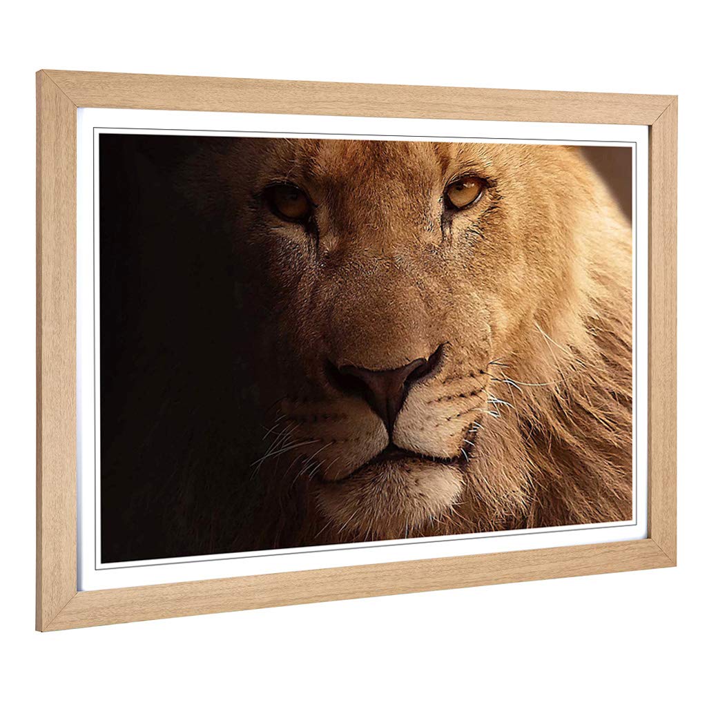 Big Box Art Framed Print of Lion Design | Wall Art Picture | Home Decor for Kitchen, Living, Dining Room, Lounge, Bedroom, Hallway, Office, Oak, A2 / 24.5x18 Inch / 62x45cm