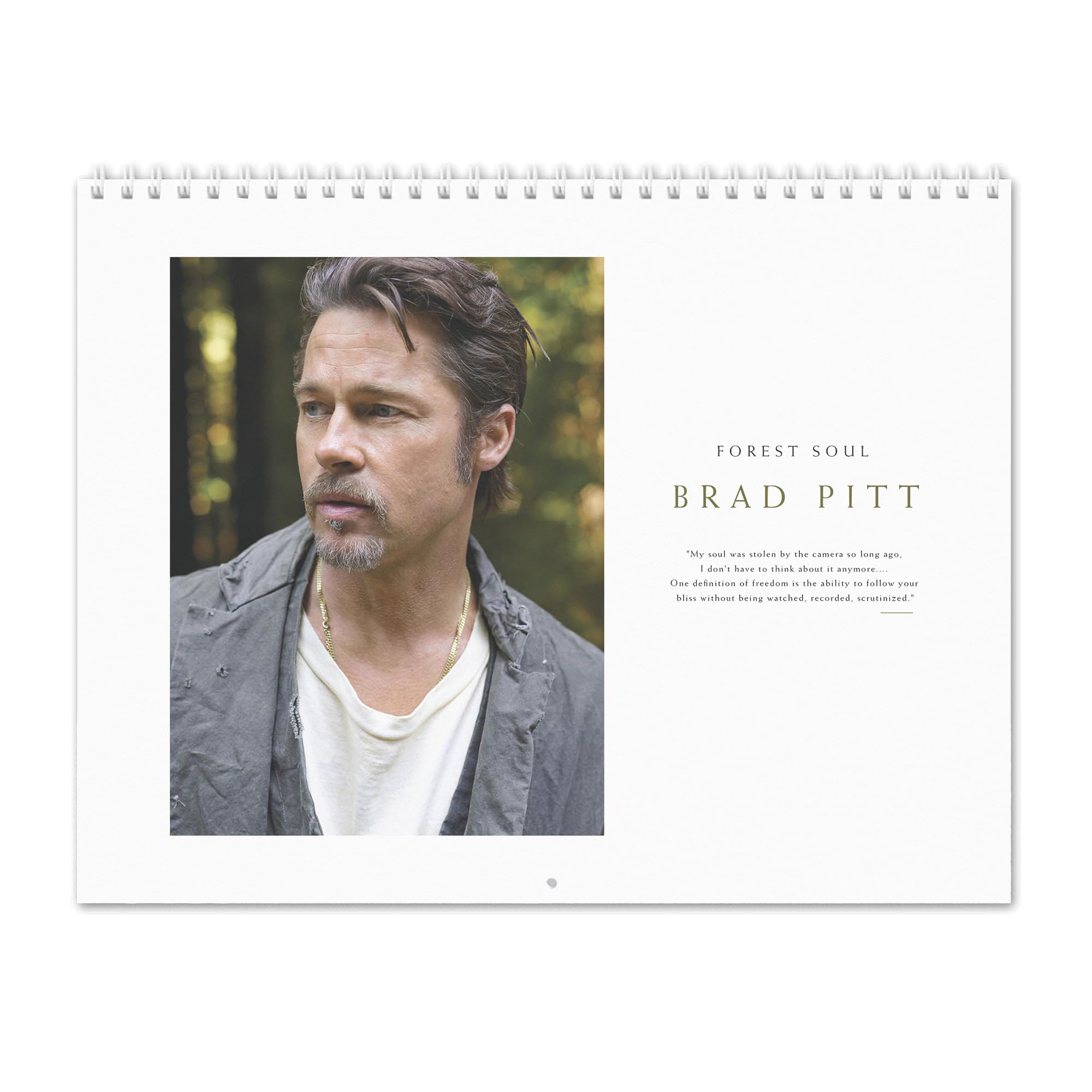 Brad Pitt Vol.1-2027 - Calendario da parete