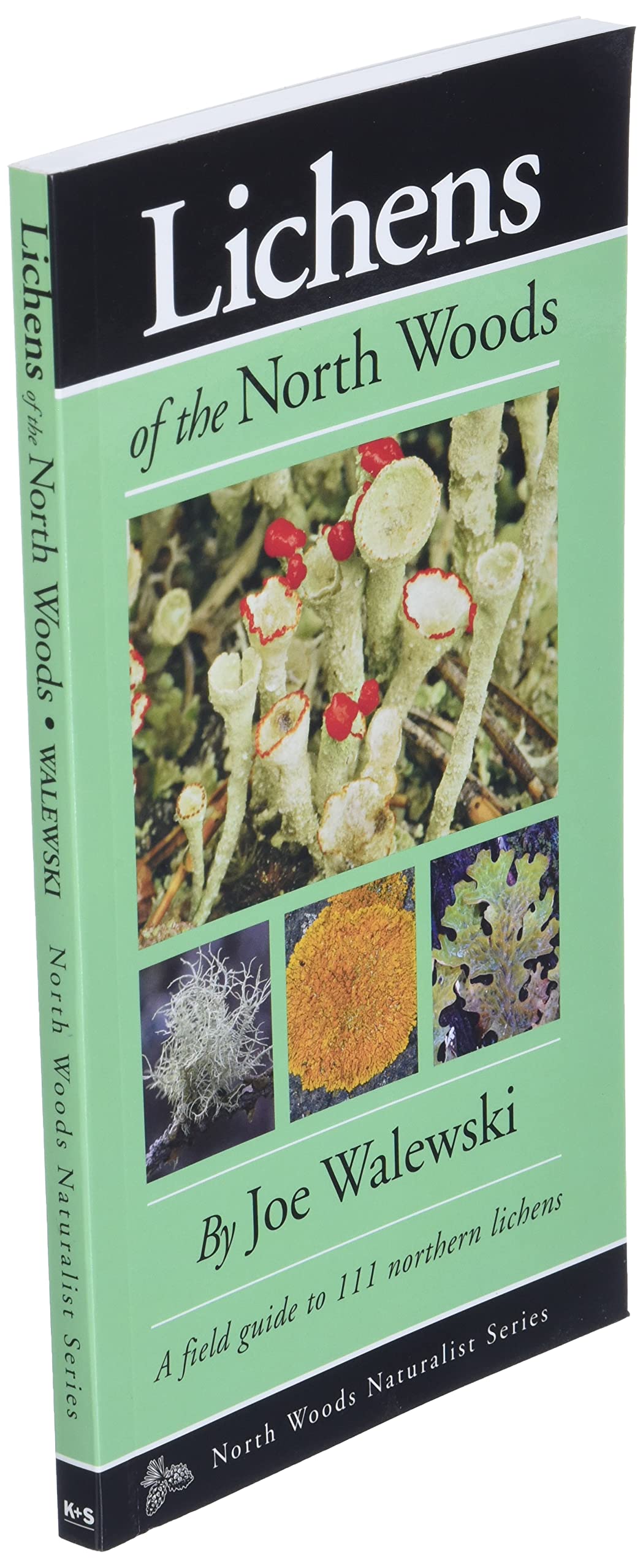 Lichens of the North Woods (Naturalist Series) - Image 3