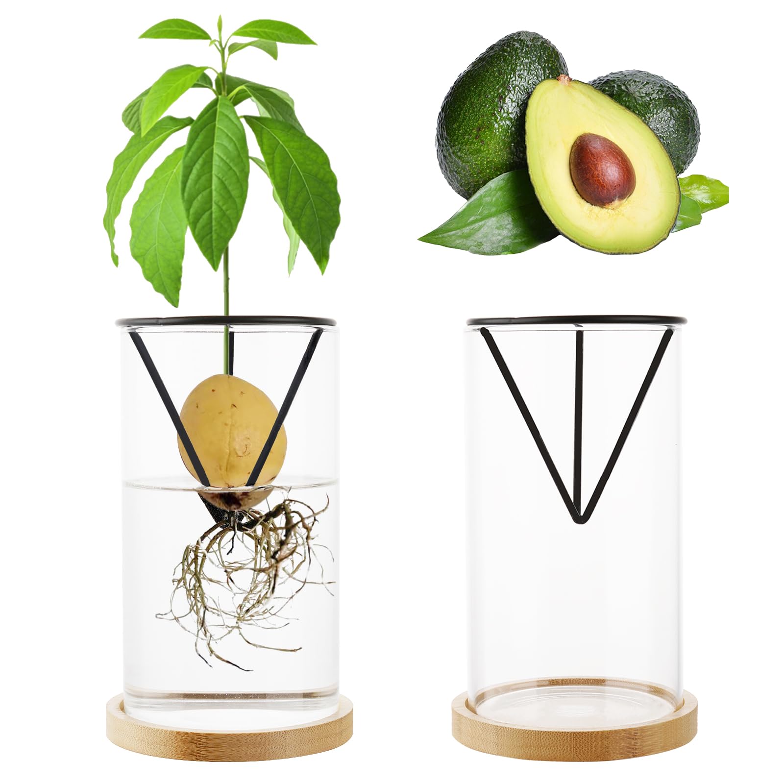 Uprony Avocado Tree Growing Kit 2PCS Avocado Growing Vase Seed Starter Wooden Base Avocado Glass Plant Pot for Gardening Enthusiasts