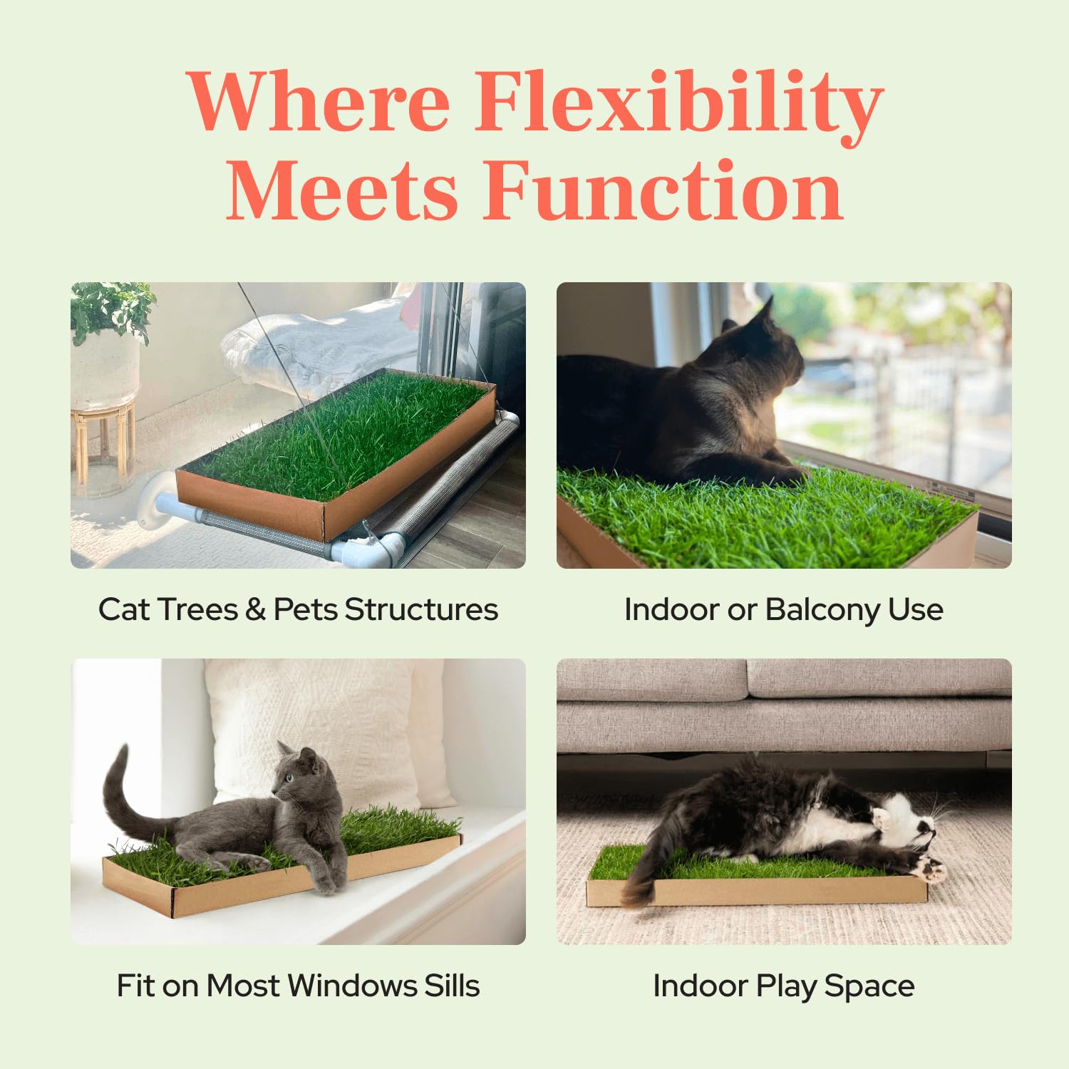 Kitty Lawn - Percha y tumbona para ventana de gato de césped real, cama de césped fresco para gatos grandes y pequeños, asiento de ventana para tomar el sol y observar aves, cultivado en Estados
