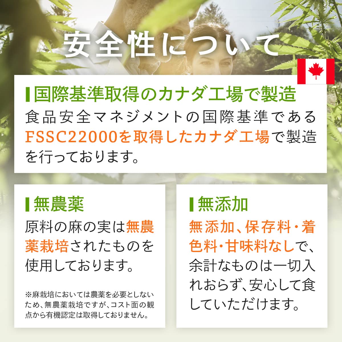 カカベル　ヘンププロテイン×4 Amazon.co.jp: カカベル ヘンププロテイン パウダー タンパク質 食物